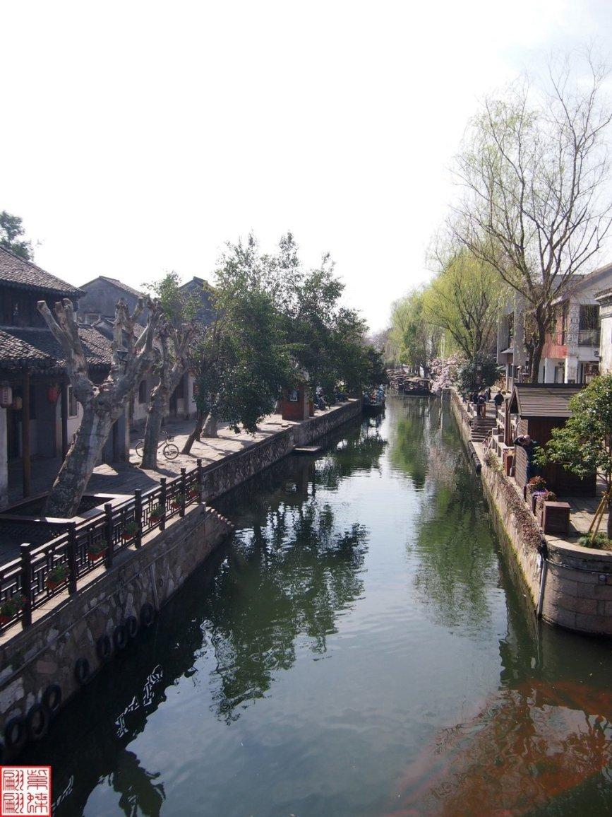 动物帮帮忙保卫家园
